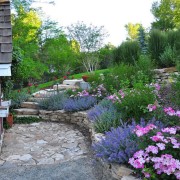 Красивое сочетание сиреневых и голубыъ оттенков из цветов