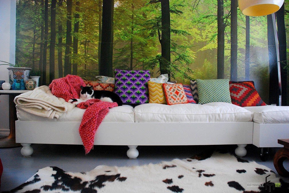 Білий диван з різнокольоровими подушками під пейзажними фотошпалерами