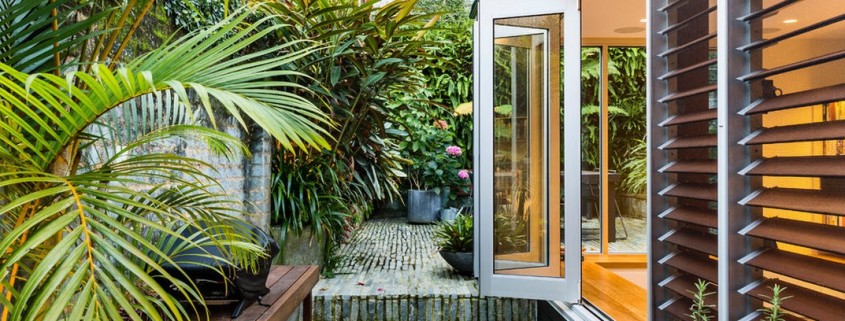 Зеленый оазис