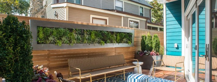 Элементы живой изгороди