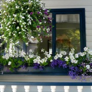 Красиво подобранная композиция