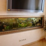 Продолговатый аквариум
