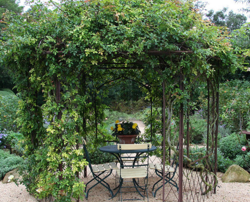 Живая беседка своими руками