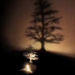 Ночник дерево тень
