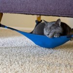 Лежак для кота