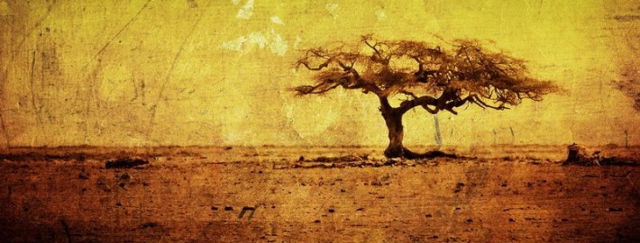 Африканский интерьер