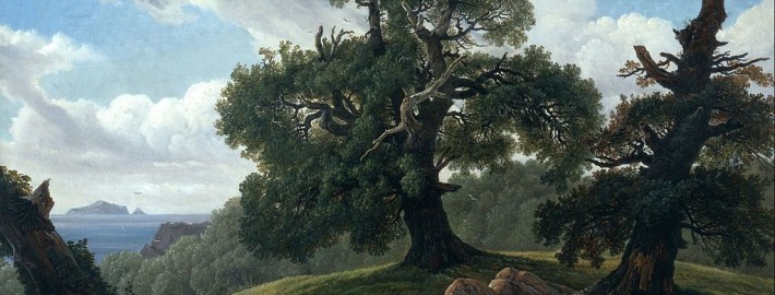 Ламинат дуб в интерьере