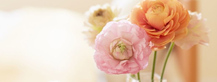 Растения в интерьере