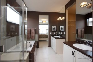 Композиция из тёмно-коричневого и белого цветов