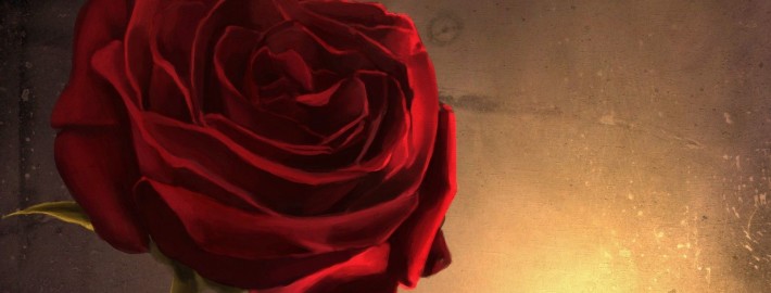 Розы в ландшафтном дизайне