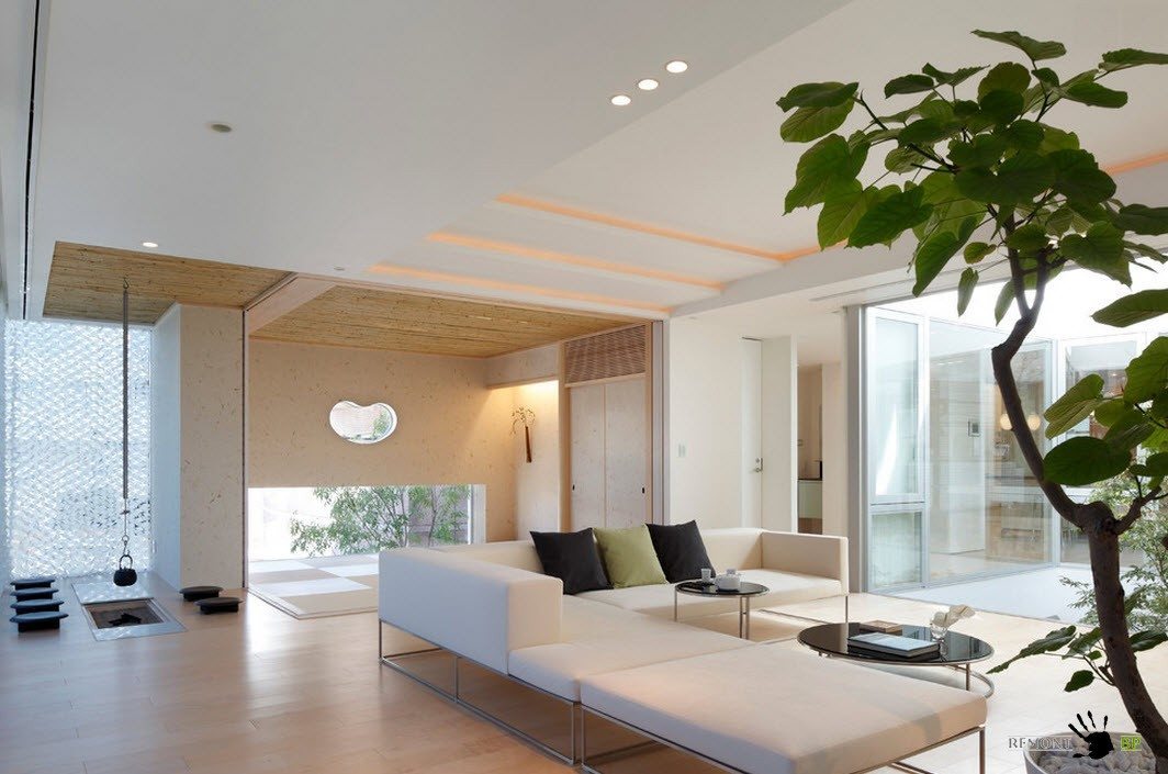 Растение в гостиной