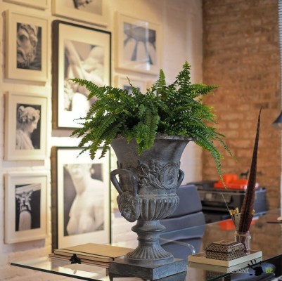 На фоне фотоколлекции