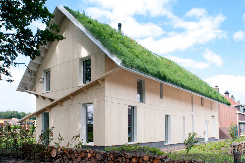 Оригинальный частный дом с "зеленой крышей"
