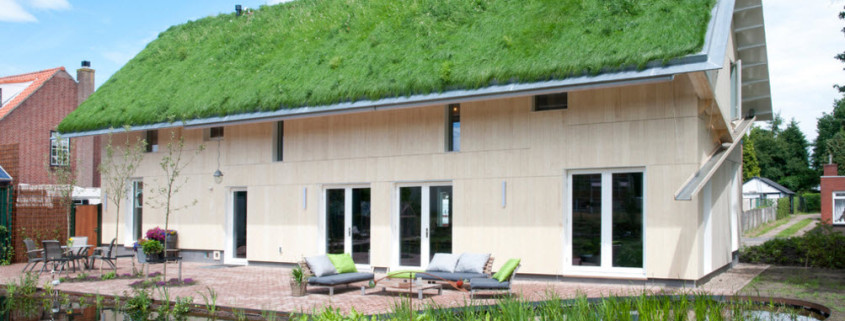 Нетривиальный подход к оформлению фасада частного дома