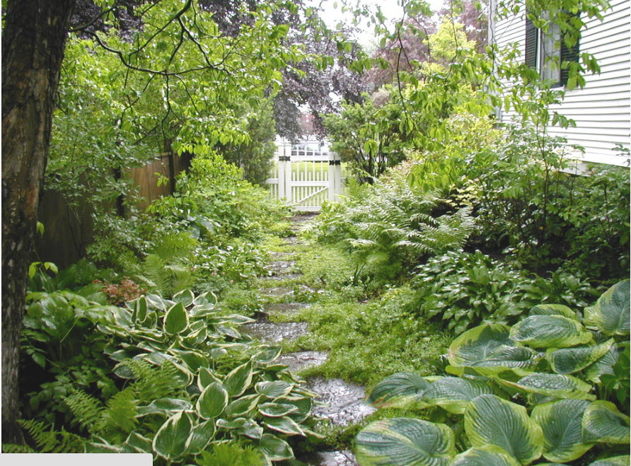 Утопающий в зелени дворик
