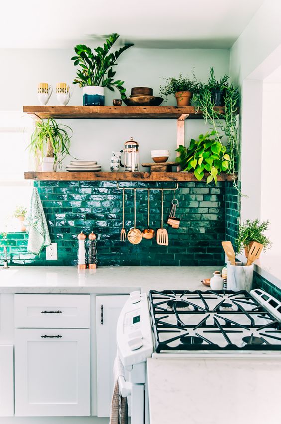 Зелень в кухонном помещении