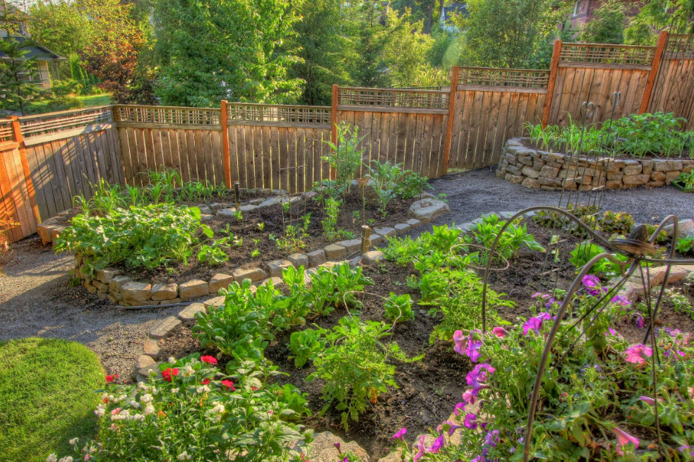Ограда для садового участка и огорода