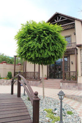 мостик в ландшафтном дизайне