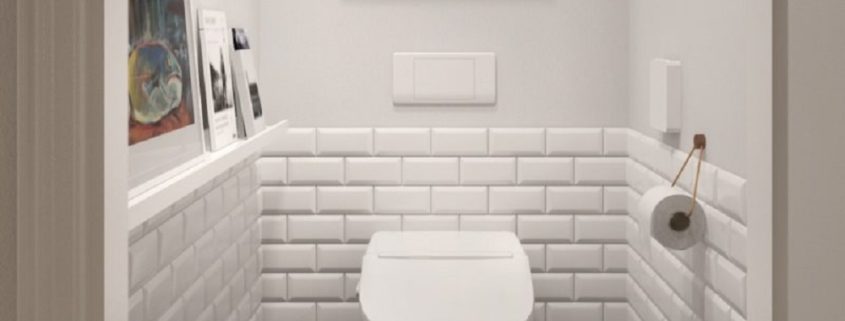 белая отделка туалета