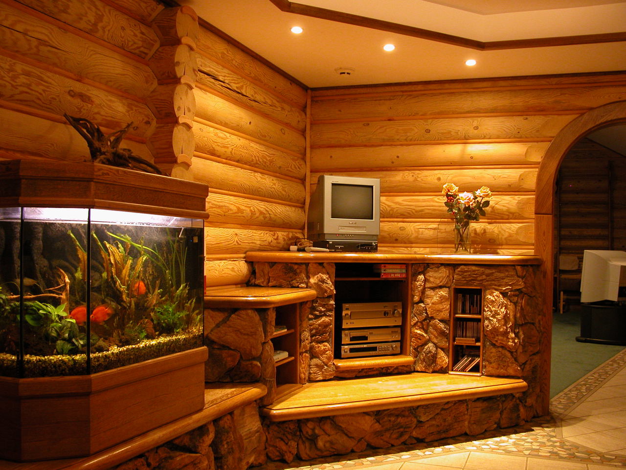 дерев'яний будинок з акваріумом