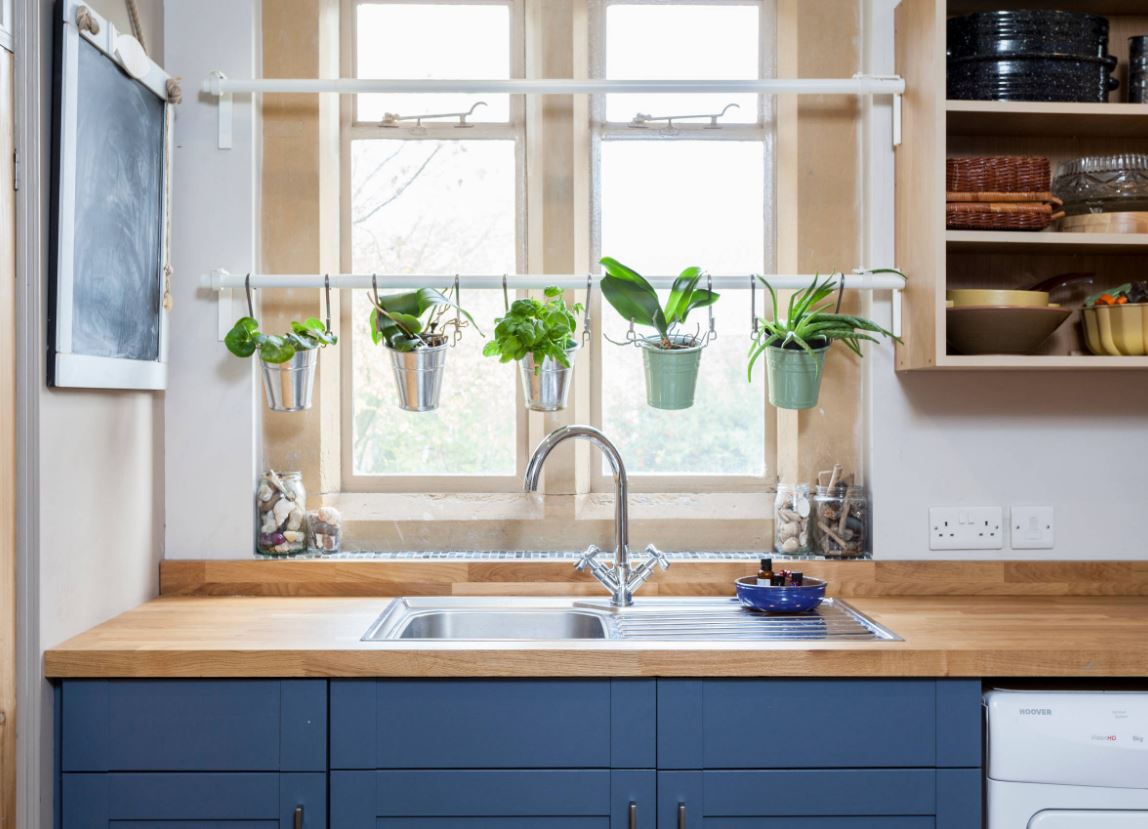 Какую зелень можно вырастить на подоконнике зимой