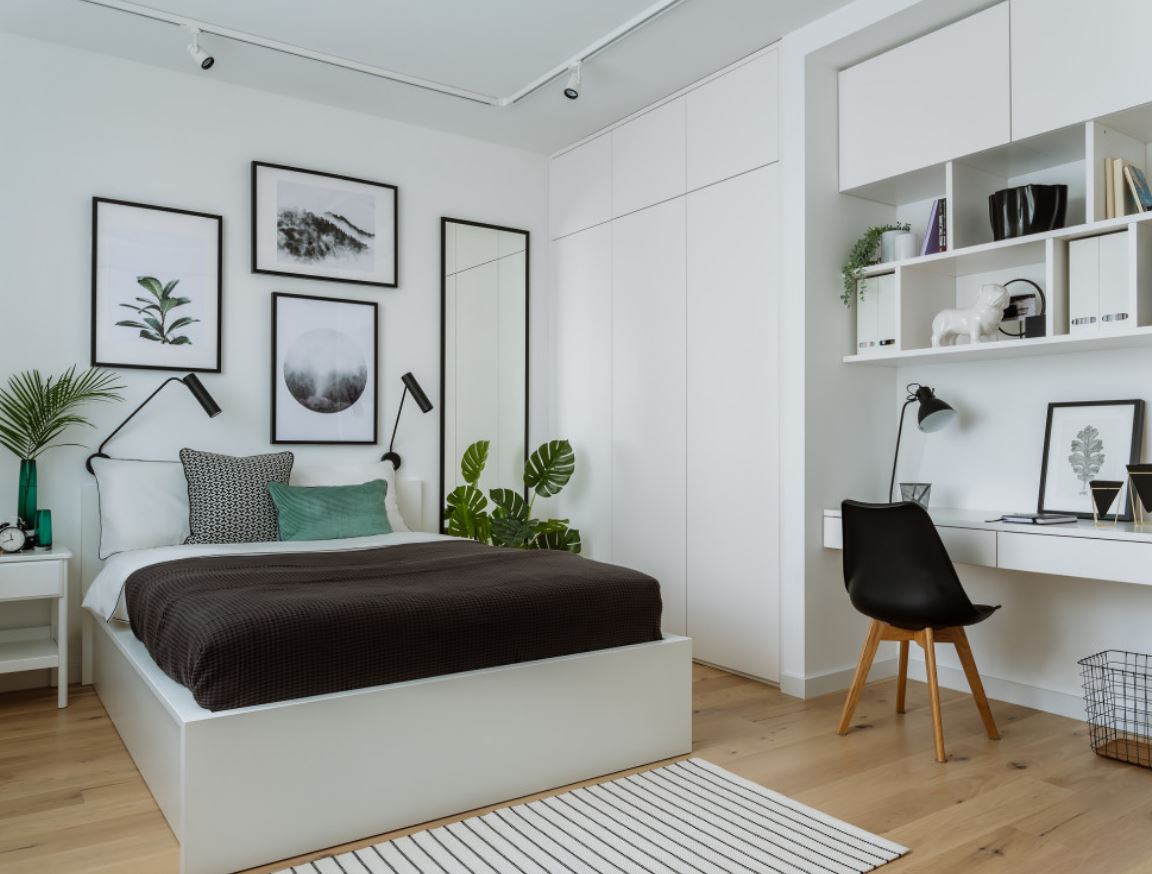 комнатные растения в интерьере 2023