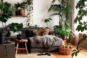 комнатные растения в интерьере 2023