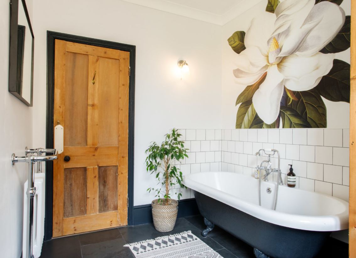 комнатные растения в интерьере 2023