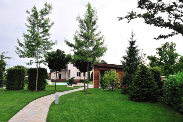 лучшие тенелюбивые растения для сада