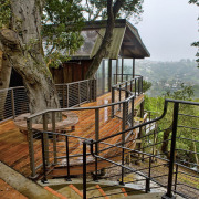 Огромный дом на дереве