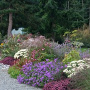 Холодное сиреневое сочетание цветов