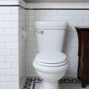 Белый кафель для туалета
