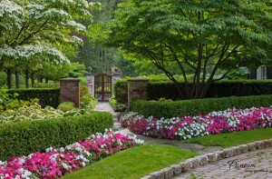 Цветочные бордюры