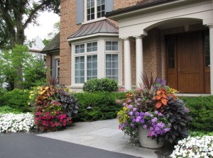 Полихромная гамма цветников