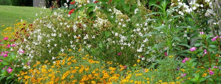 Дизайн цветника также зависит от вашей фантазии