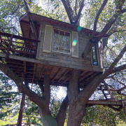 Окна со ставням в доме