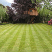 Большой газон на участке