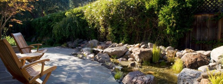 Живая изгородь