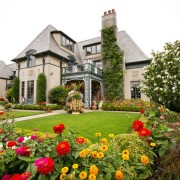 Эффектная композиция с яркими цветами