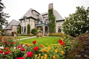 Эффектная композиция с яркими цветами