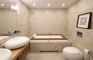 Овальные плоские раковины