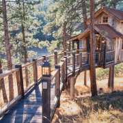 Дом в сосновой роще