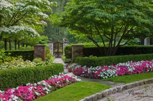 Цветник вдоль дорожки к дому