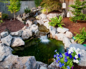 Бетонный водоем - непростое сооружение