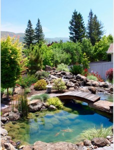 Бетонный водоем - непростое сооружение