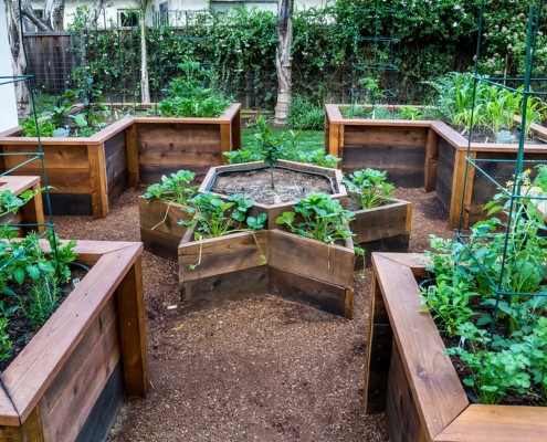 Более сложный вариант декора грядок