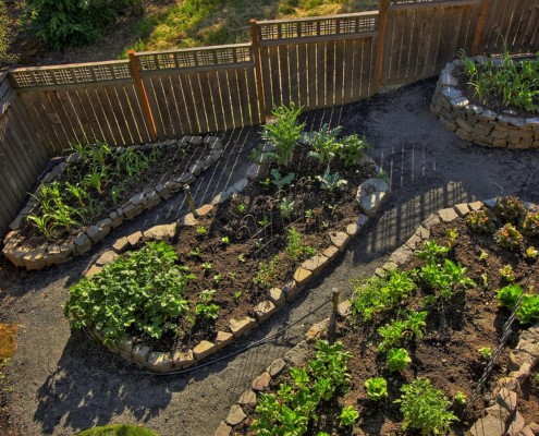 Более сложный вариант декора грядок