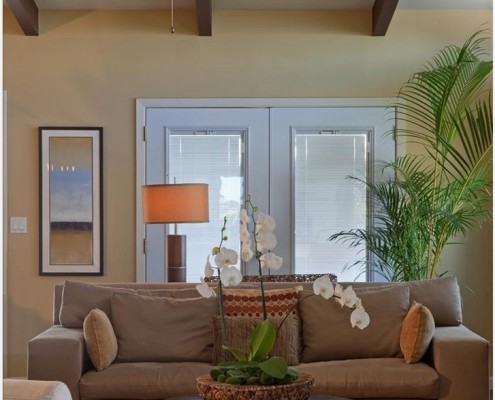 Живая природа