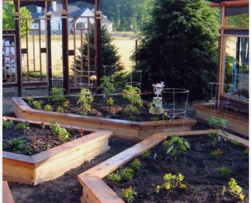 Комбинация «приятного с полезным» только украсит ваш участок