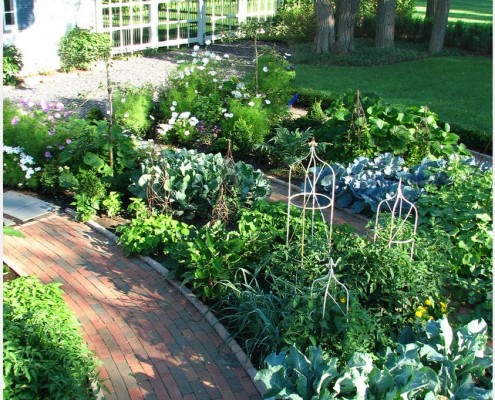 Комбинация «приятного с полезным» только украсит ваш участок